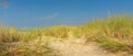 sand dunes and grass Royalty Free Stock Photo