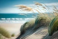 Sand dunes with grass and sea in background, shallow depth of field Royalty Free Stock Photo