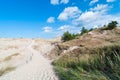 Sand Dunes And Grass Vegetation Background Royalty Free Stock Photo