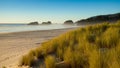 Sand dunes and grasses on a beach, Cannon Beach, Oregon Royalty Free Stock Photo