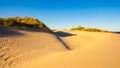 Sand dunes and grasses on a beach Royalty Free Stock Photo