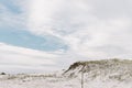 Sand Dunes with Green Grass and a Blue Sky Royalty Free Stock Photo