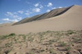 Between the Sand Dunes and the Green Vegetation, Gobi Desert in Central Asia.