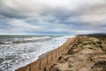 Sand dunes in Guardamar del segura beach. Alicante