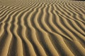 Sand dunes, Huacachina Royalty Free Stock Photo