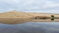 Sand dunes of the Huchet current in the Landes Moliets-et-Maa Estuary of Courant Huchet river