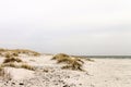 Sand dunes of the island bornholm - denmark Royalty Free Stock Photo