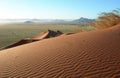 Sand dunes in the Kalahari desert