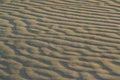 Sand dunes, Khudi, Rajasthan, India Royalty Free Stock Photo