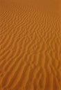 indian thar desert sand dunes Khudi Rajasthan India Royalty Free Stock Photo