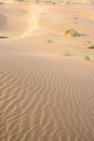 Sand dunes in the Kyzylkum desert Kazakhstan Royalty Free Stock Photo