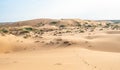 Sand dunes in the Kyzylkum desert Kazakhstan Royalty Free Stock Photo