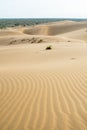 Sand dunes in the Kyzylkum desert Kazakhstan Royalty Free Stock Photo