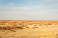 Sand dunes in Kyzylkum desert Kazakhstan. The vast desert of Central Asia Royalty Free Stock Photo