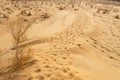 Sand dunes in Kyzylkum Desert, Uzbekistan