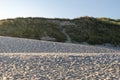 Sand dunes landscape with marram grass on Sylt island beach Royalty Free Stock Photo