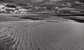Sand Dunes, Lencois B&W Royalty Free Stock Photo