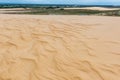 Sand dunes of Lomas de Arena Regional Park, Santa Cruz, Bolivia Royalty Free Stock Photo