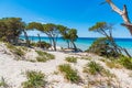 Sand dunes in Maria Pia beach Royalty Free Stock Photo