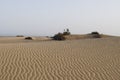 Sand dunes of the Maspalomas desert. Royalty Free Stock Photo