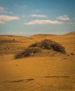 Sand dunes Royalty Free Stock Photo