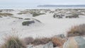 Sand dunes of misty Coronado beach, ocean waves in fog, California coast, USA. Royalty Free Stock Photo