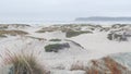 Sand dunes of misty Coronado beach, ocean waves in fog, California coast, USA. Royalty Free Stock Photo