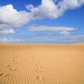 Sand dunes in Morocco Royalty Free Stock Photo