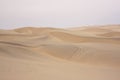 Sand dunes in the Namib desert Royalty Free Stock Photo