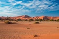 Sand dunes in the Namib desert at dawn, roadtrip in the wonderful Namib Naukluft National Park, travel destination in Namibia, Afr Royalty Free Stock Photo