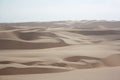 Sand dunes in the Namib desert Royalty Free Stock Photo