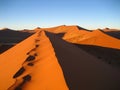 Sand dunes in Namib desert