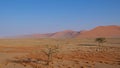 Sand dunes in Namib-Naukluft National Park, Namibia Royalty Free Stock Photo