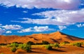 Sand dunes Namib-Naukluft national park, Namibia Royalty Free Stock Photo