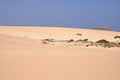 Sand Dunes in National Park Corralejo, Fuerteventura Royalty Free Stock Photo