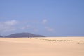 Sand Dunes in National Park Corralejo, Fuerteventura Royalty Free Stock Photo