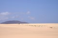 Sand Dunes in National Park Corralejo, Fuerteventura Royalty Free Stock Photo