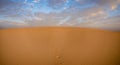 Sand dunes in the National Park of Dunas de Corralejo during a beautiful sunset, Canary Islands - Fuerteventura