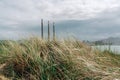 Sand dunes, native plants, and power plants on Morro Bay, California Royalty Free Stock Photo