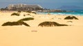 Sand dunes near Corralejo, Fuerteventura, Spain