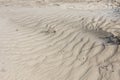 The sand dunes near the Mediterranean Sea Royalty Free Stock Photo