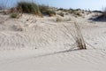 The sand dunes near the Mediterranean Sea Royalty Free Stock Photo