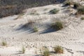 The sand dunes near the Mediterranean Sea Royalty Free Stock Photo