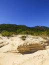 Sand dunes near Mocambique beach in Florianopolis, Brazil