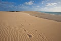 Sand dunes near the ocean Royalty Free Stock Photo