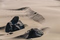 Sand Dunes near the Oregon Coast Royalty Free Stock Photo