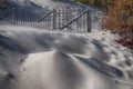 Sand Fence on Cape Cod Royalty Free Stock Photo