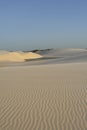 Sand Dunes With Oasis