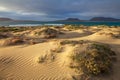 Sand dunes and ocean on sunset in unique volcanic island Lanzarote Royalty Free Stock Photo