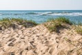 Sand Dunes With Ocean in Virginia Beach, Virginia